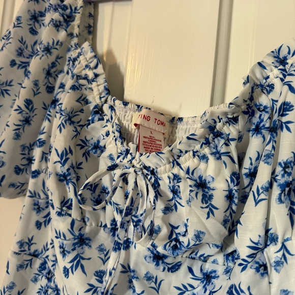 Blue & White Princess Cottage core dress - Picture 9 of 10